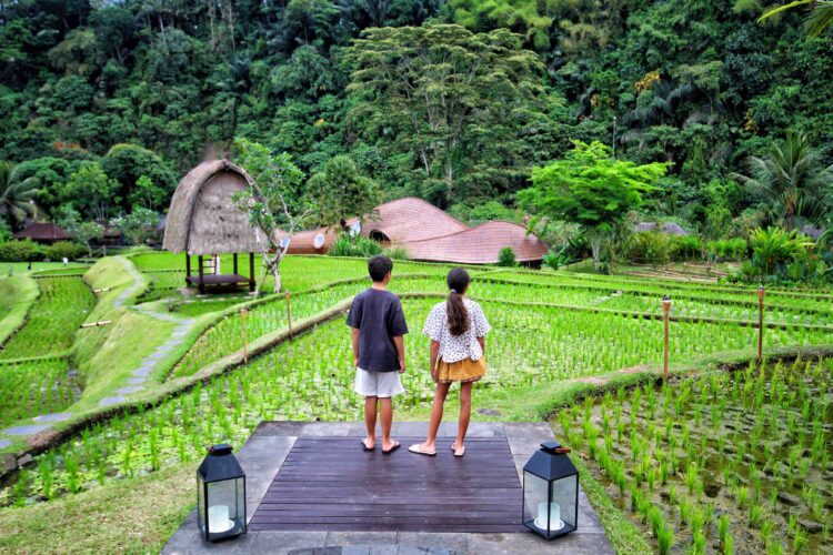 Mandapa, a Ritz-Carlton Reserve